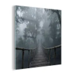 Brug - Jungle - Mist - Natuur plexiglas 5mm klein -z3d