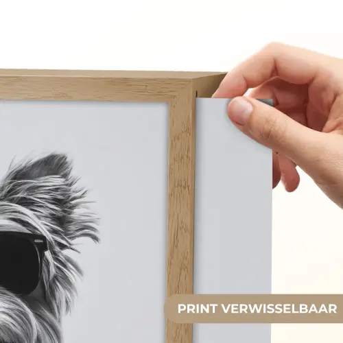 Hondje - Wijnglas - Zonnebril - Enthousiast Light Box met batterij (Wandlamp) middel -USP_websiteprintNL