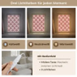 Waaier -  Roze - Rood Light Box met kabel (Tafellamp) klein 925 -USP_lichtkleurDE