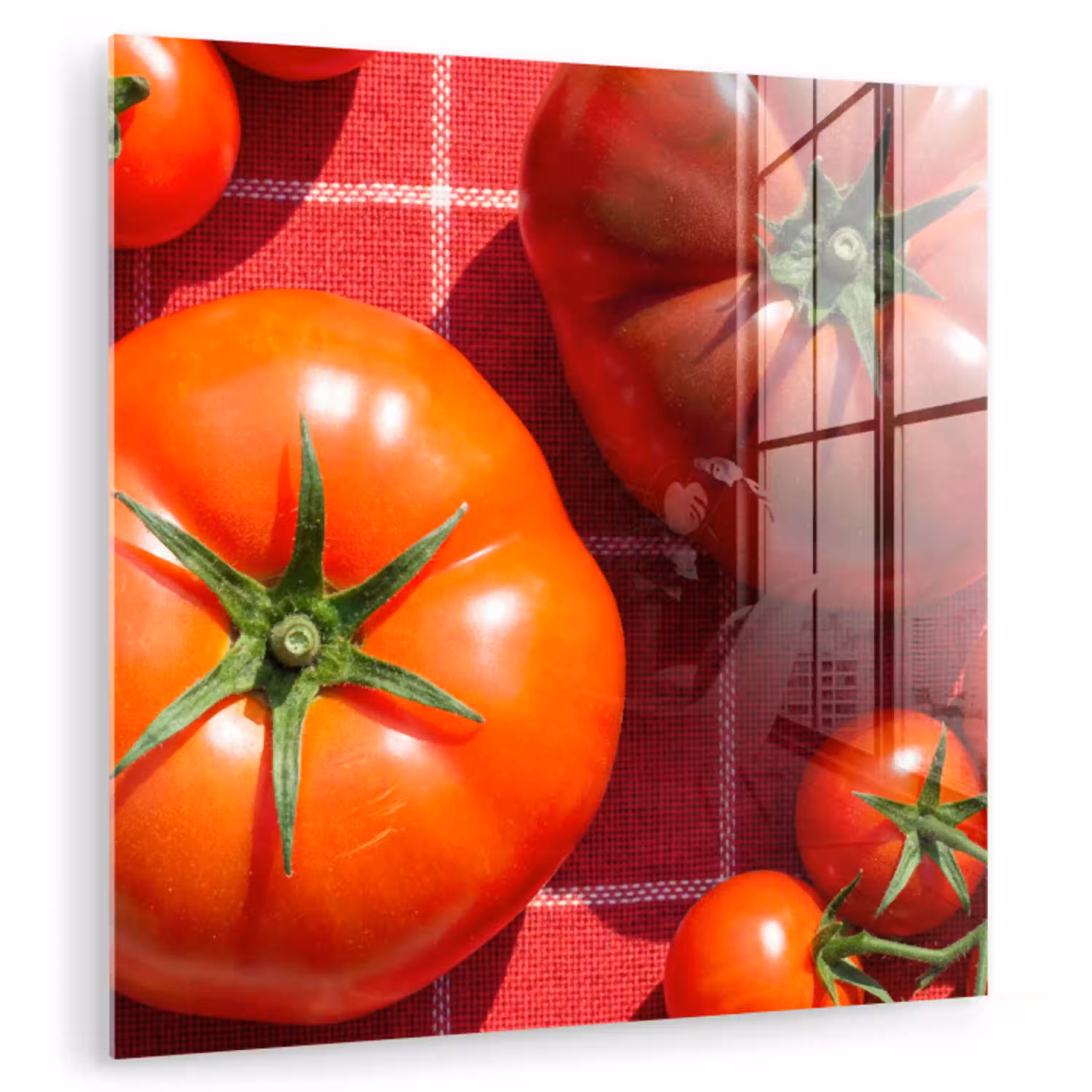 Tomaat - Rood - Eten plexiglas 5mm klein -zzzproduct_nieuw