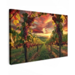 Wijngaard - Druiven - Zonsondergang Tuinposter op houten frame 2 cm dik klein -3d