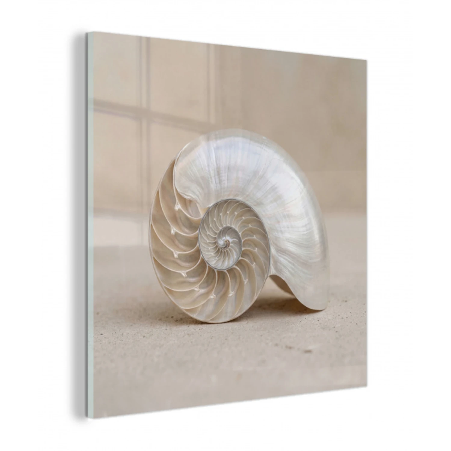 Schelp - Spiraal - Beige plexiglas 5mm klein -z3d