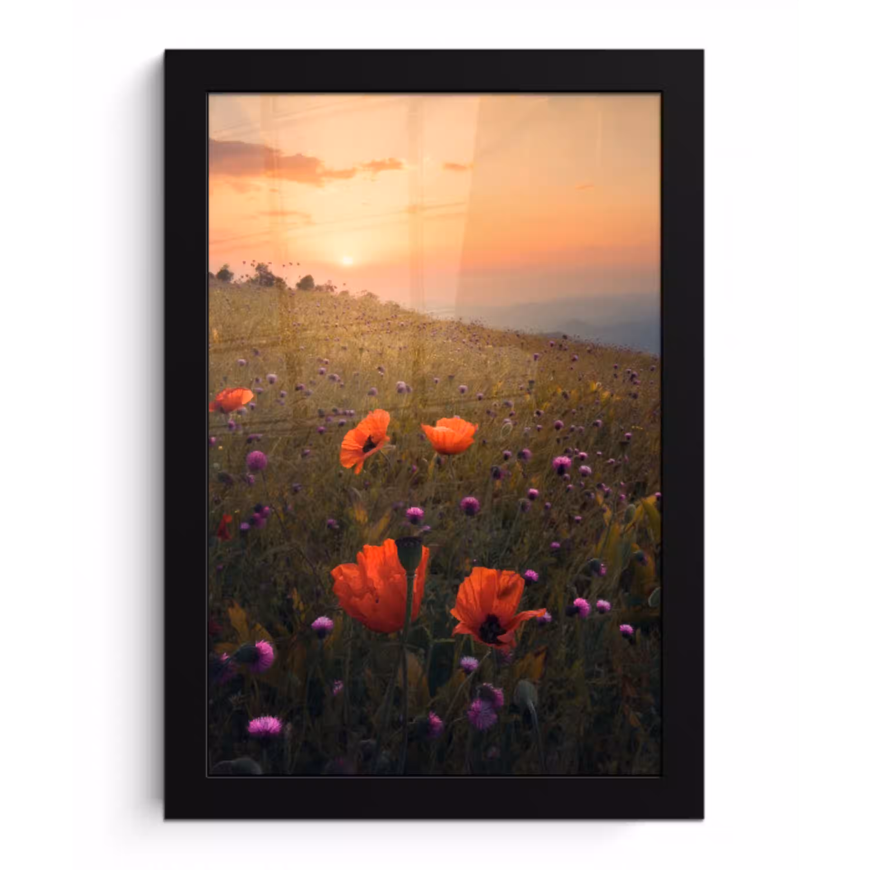Bloemenveld - Gras - Bloemen - Planten - Zonsondergang - Oranje fotolijst zwart zonder passe partout klein -3d