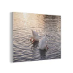 Eenden - Water - Natuur PET vilt klein -3d