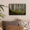 Zon - Takken - Bomen - Bos - Natuur canvas 2cm klein -sfeer1