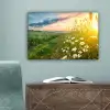 Bloemen - Madelief - Natuur - Zon - Horizon canvas 2cm klein -sfeer4