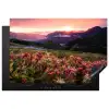 Alpengloed en Wilde Bloemen Inductie beschermer vinyl 3mm klein -3d