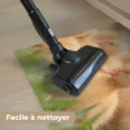 Pijltje - Eend - Natuur - Geel Deurmat klein -reinigen_FR
