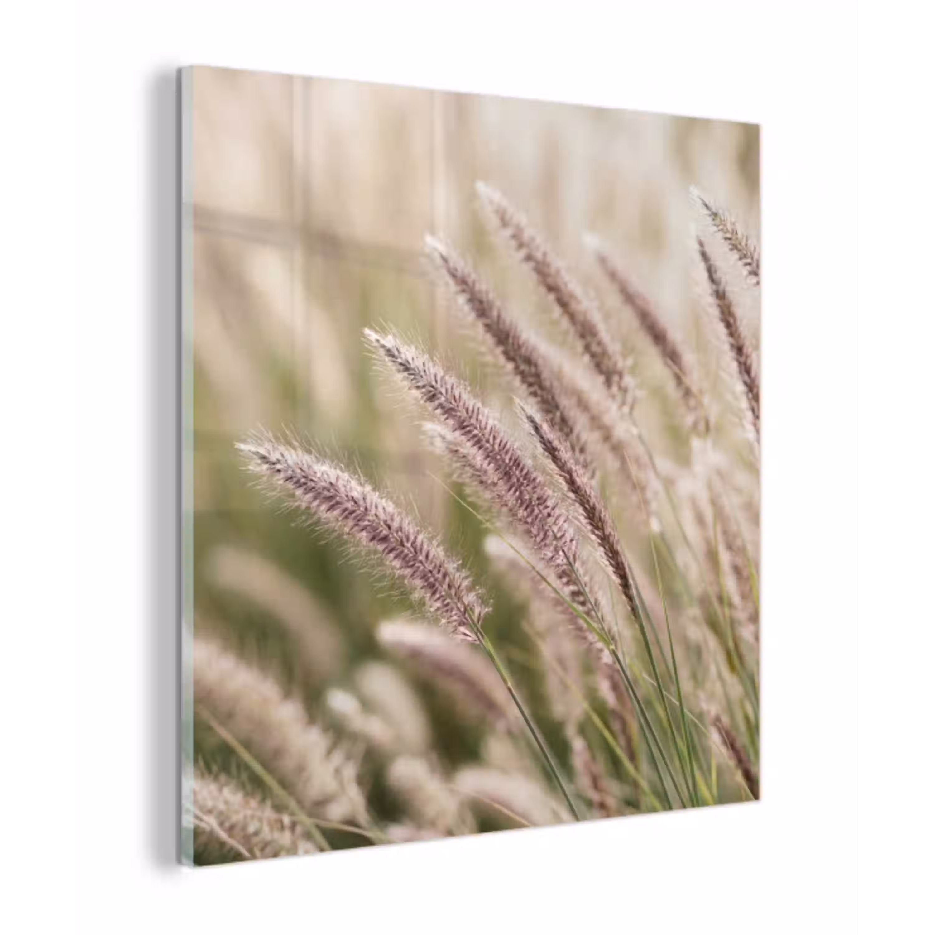 Gras - Close up - Groen plexiglas 5mm klein -z3d