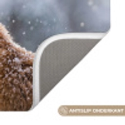 Vos - Sneeuwval - Portret - Winter - Sfeervol Badmat klein -USP_AntislipNL