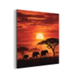 Savanne - Olifanten - Zonsondergang aluminium wit klein -3d