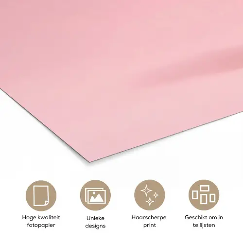 Matroos - Eend - Roze poster papier klein -closeup_NL
