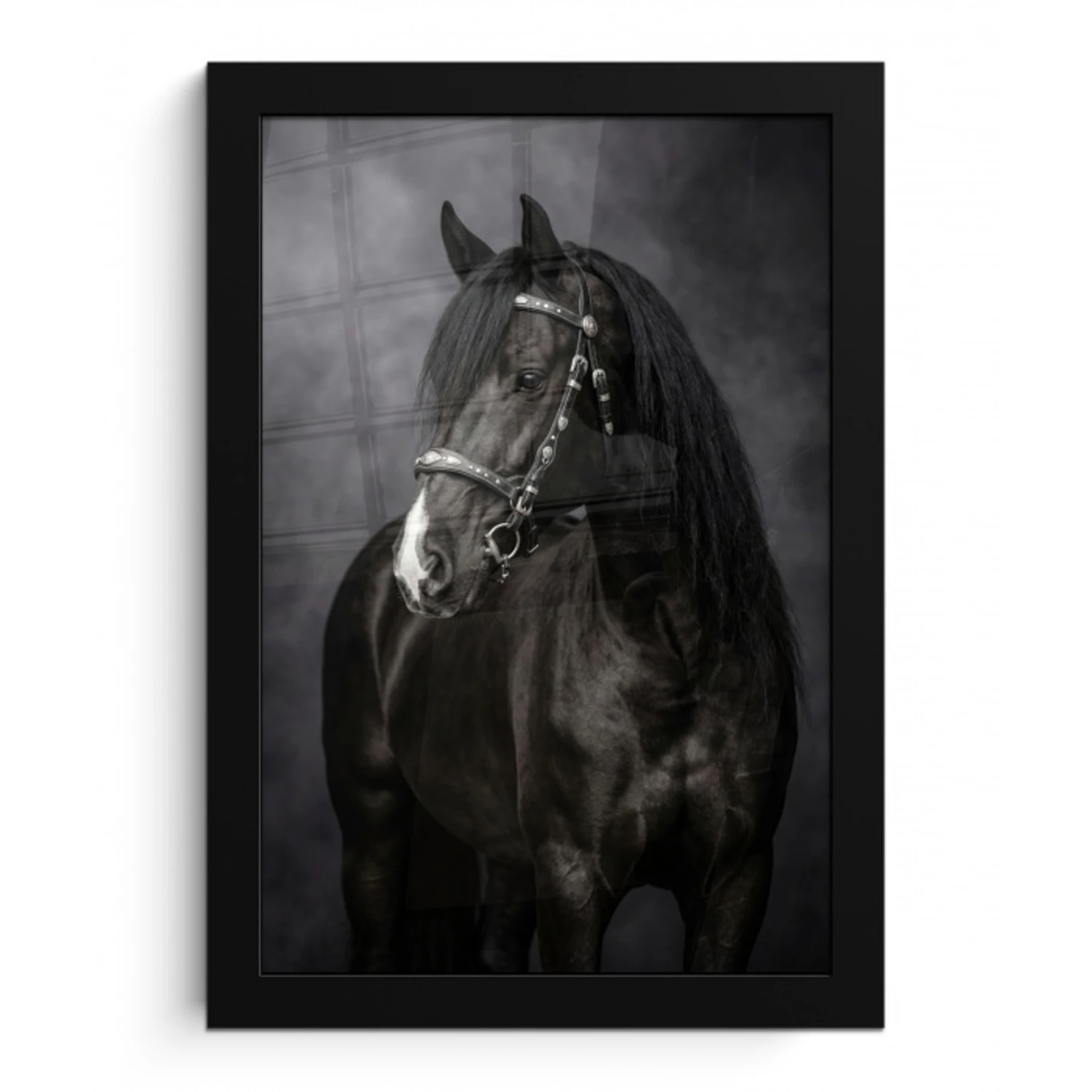 Portret - Paard - Zwart fotolijst zwart zonder passe partout klein -3d