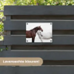 Paard - Modern - Balans tuinposter los doek klein -sfeer3