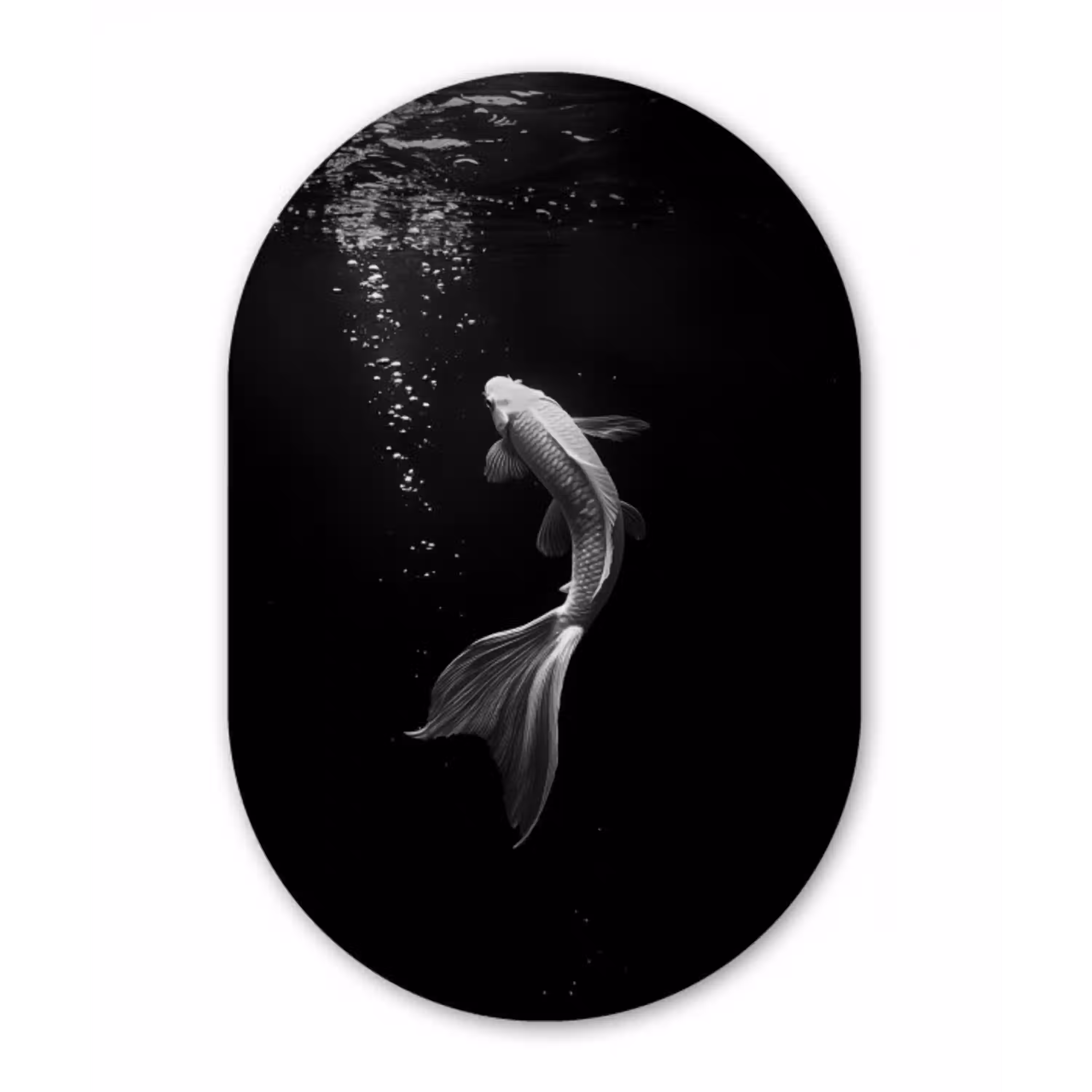 Koi - Vis - Wit - Zwart Wandcirkel Ovaal Aluminium middel -3d
