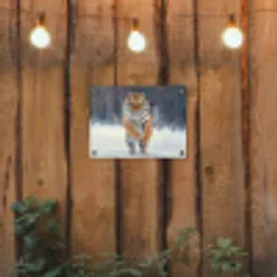 Tijger - Landschap - Sneeuw - Winter - Dieren tuinposter los doek klein -sfeer1