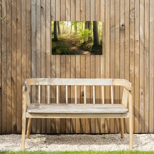 Bos - Bomen - Pad - Zon - Planten - Bladeren - Natuur Tuinposter op houten frame 2 cm dik klein -sfeer4