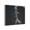 Koi - Vissen - Water - Zwart PET vilt klein -3d