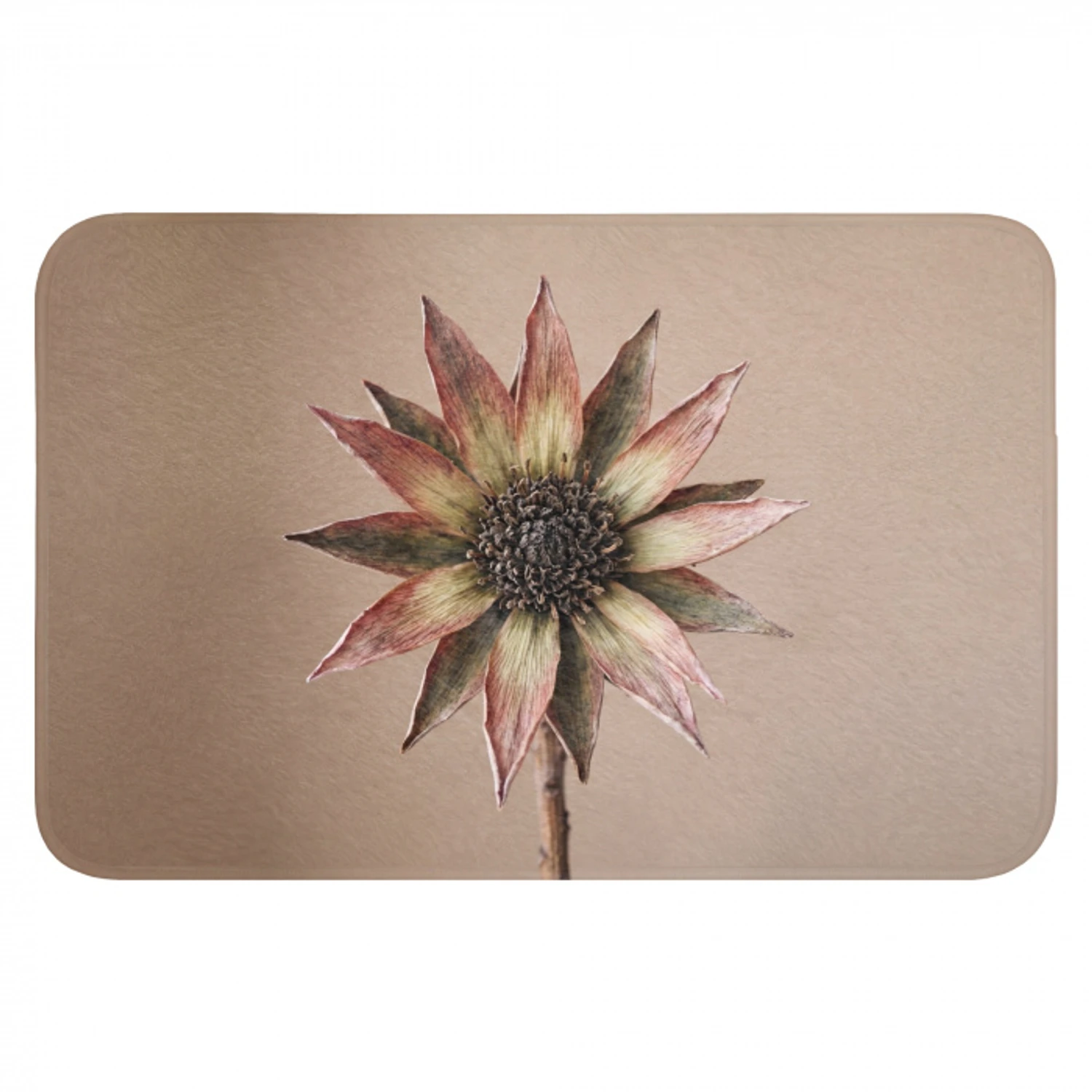 Droogbloem - Protea - Vintage - Beige - Rustiek Badmat klein -3d