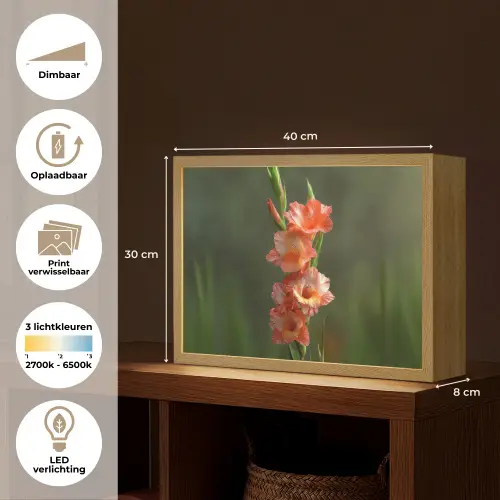 Bloem - Gladiolen - Zalmroze Light Box met batterij (Wandlamp) middel -USP_websiteoverzichtNL