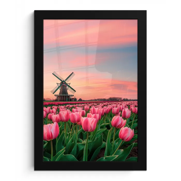Tulpen - Molen - Nederland fotolijst zwart zonder passe partout klein -3d