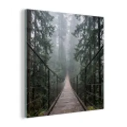 Brug - Bos - Mist - Natuur plexiglas 5mm klein -z3d