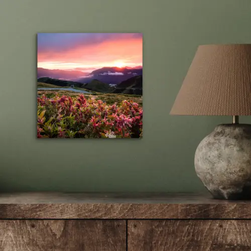 Bloemen - Bergen - Landschap - Nacht - Lucht - Roze aluminium wit klein -sfeer2