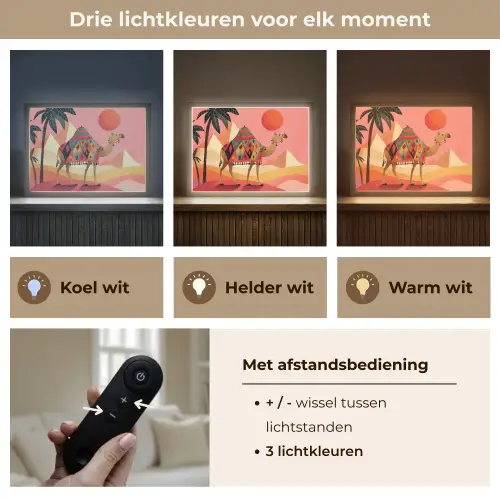Kameel - Pyramides - Rode zon Light Box met batterij (Wandlamp) middel -USP_lichtkleurNL