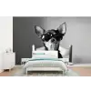 Chihuahua - Hond - Zonnebril - Humoristisch - Zwart - Wit - Spaghetti fotobehang vinyl groot -bed