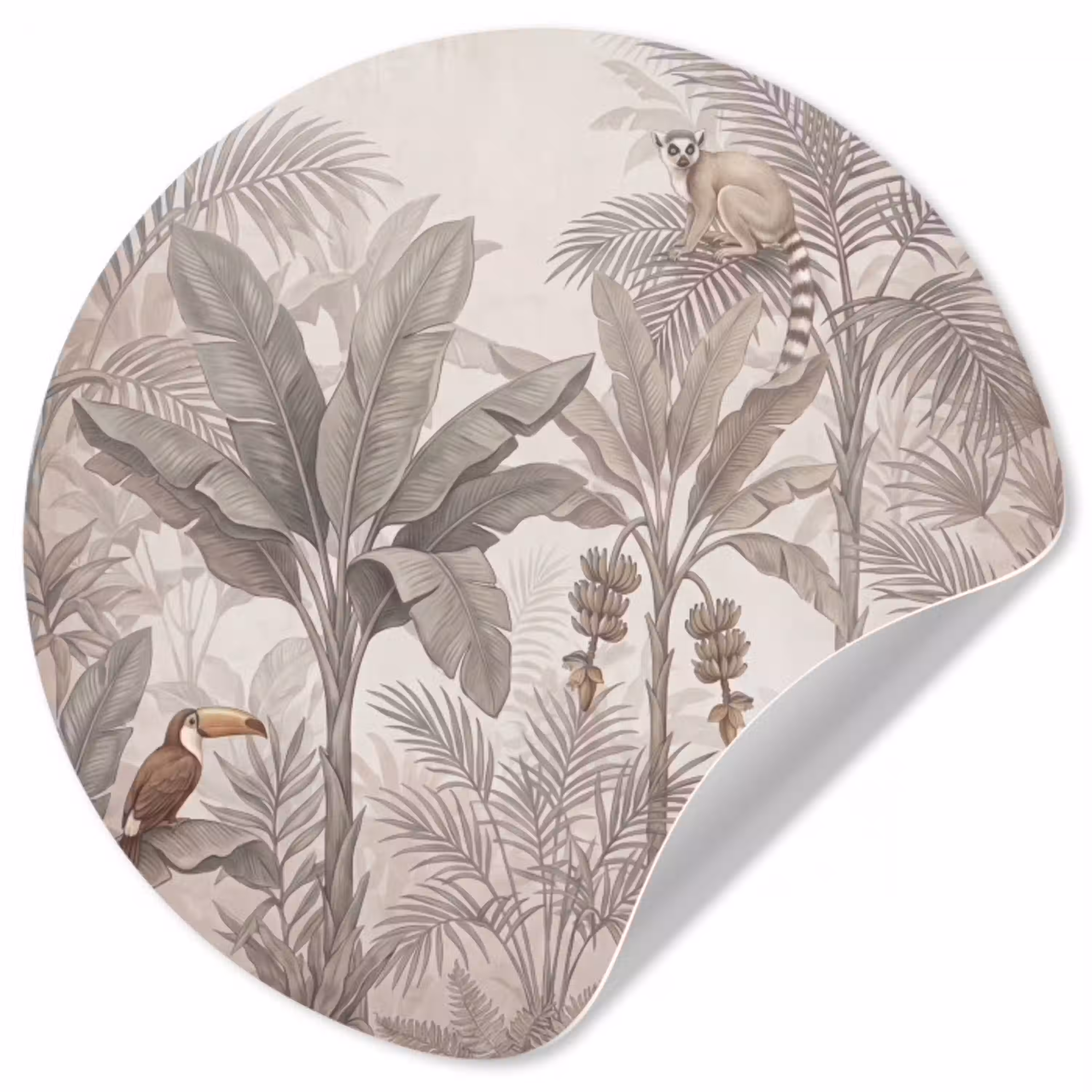 Natuur - Jungle - Ringstaartmaki - Bruin Wandcirkel behangsticker klein -3d