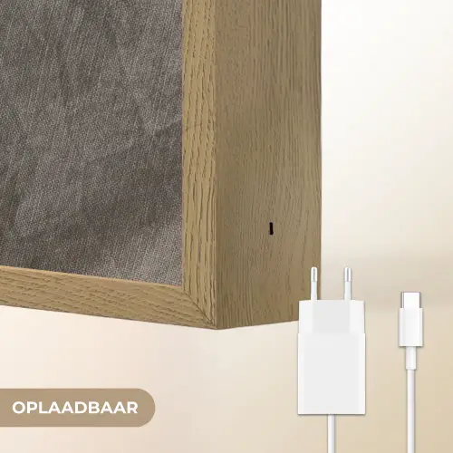 Pampasgras - Pluim - Zwart - Beige Light Box met batterij (Wandlamp) middel -USP_websiteoplaadbaarNL