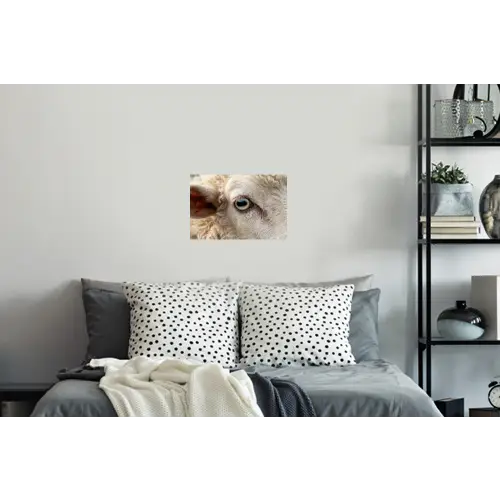 Schaap - Oog - Wit Muursticker klein -slaapkamer