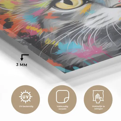 Kat - Graffiti - Dieren - Kleuren - Grijs plexiglas 5mm klein -sfeer2