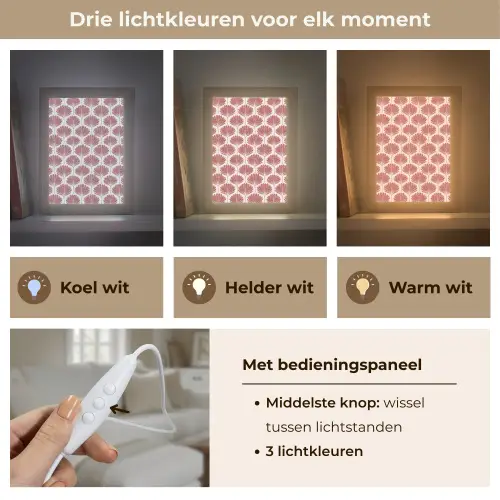 Waaier - Motief - Terra Light Box met kabel (Tafellamp) klein 925 -USP_lichtkleurNL