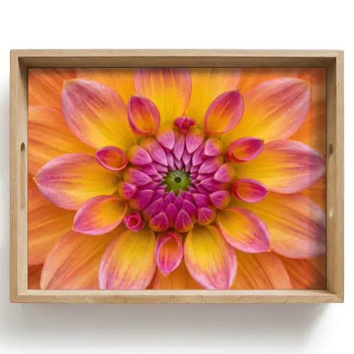 Dahlia - Bloem - Oranje Dienblad Rechthoek middel -z3d_shopping