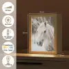 Paard - Wit - Winter - Natuur - Sneeuw - Dieren Light Box met kabel (Tafellamp) klein -USP_NL