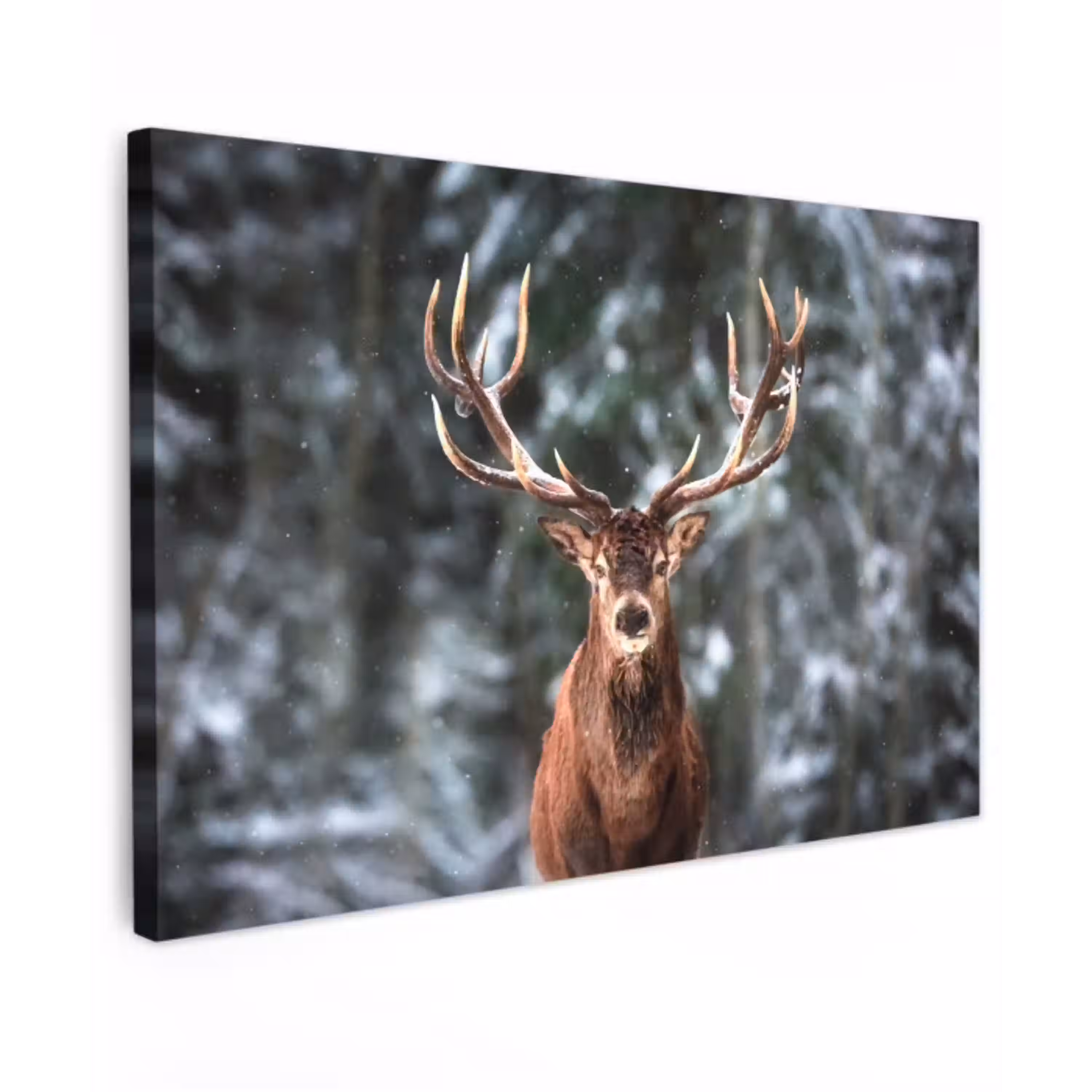 Hert - Winter - Sneeuw - Bos - Natuur - Dier Tuinposter op houten frame 2 cm dik klein -3d