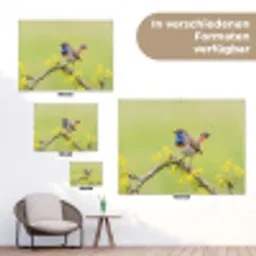 Vogel - Tak - Natuur - Kleurrijk tuinposter los doek klein -Xsfeer9_DE