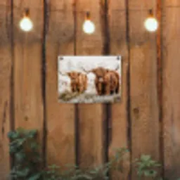 Twee Hooglanders in de Winter tuinposter los doek klein -sfeer1