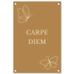 Carpe Diem met Vlinder tuinposter los doek klein -3d