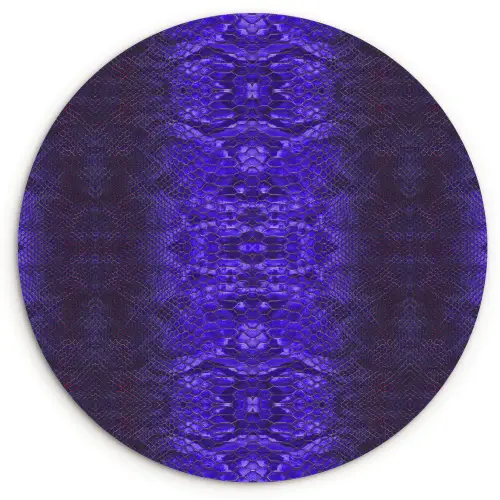 Slang - Boa - Paars - Blauw Wandcirkel plexiglas klein 852 -3d