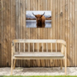 Schotse hooglander - Bruin - Water Tuinposter op houten frame 2 cm dik klein -sfeer4
