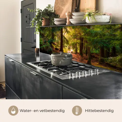 Bos - Pad - Bomen - Groen - Zon - Natuur keuken achterwand 2 middel -usp_NL
