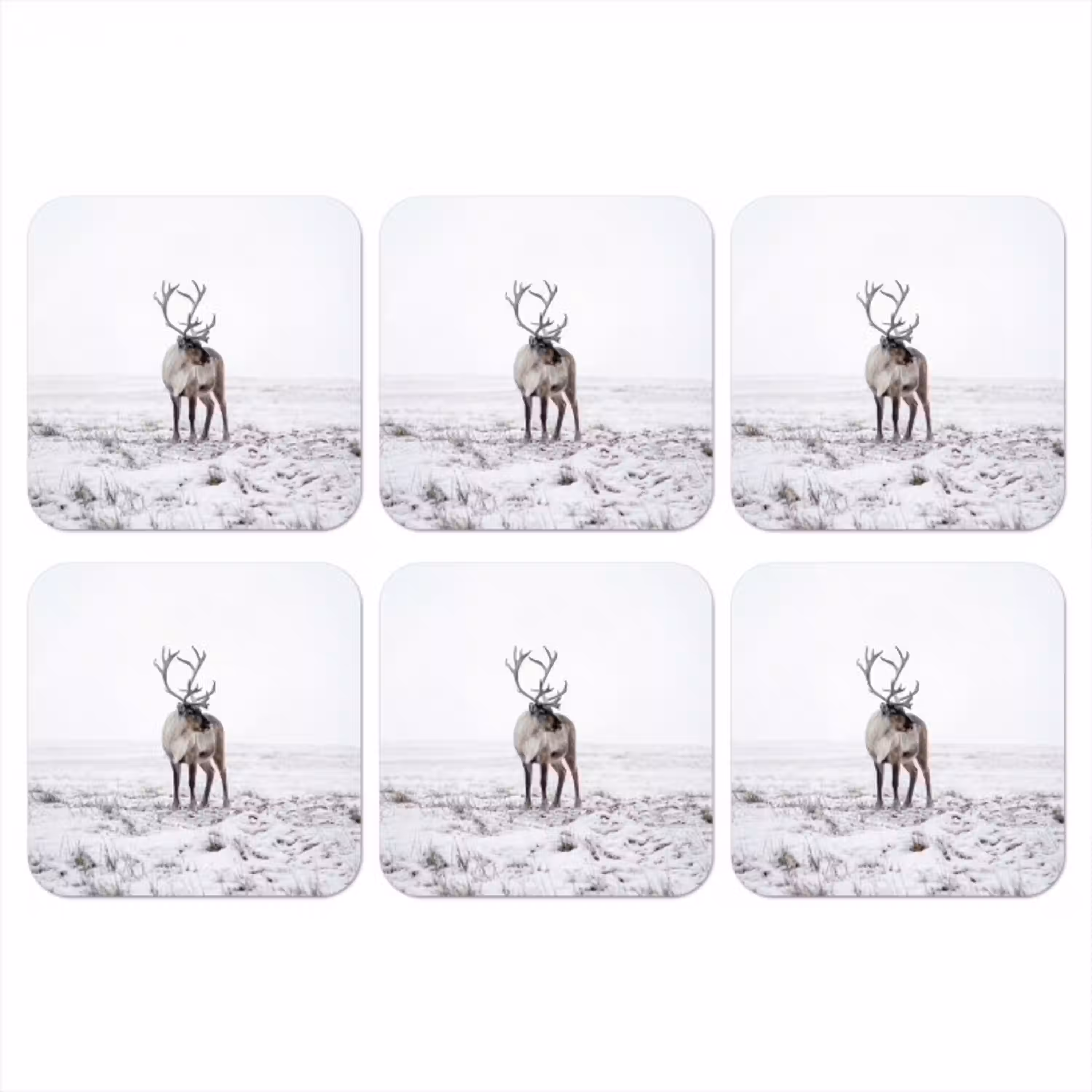 Rendier - Gewei - Sneeuw - Winter onderzetter kurk middel -3d