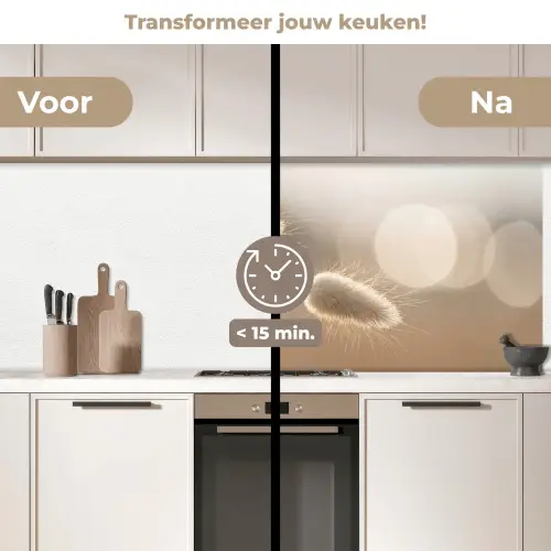 Hazestaartgras - Graanharen - Zonlicht keuken achterwand 2 middel -voor-na2_NL