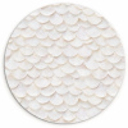 Schubben - Wit - Elegant Wandcirkel kunststof plaat 5mm dik klein 188 -3d