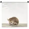 Egel - Dieren - Kinderen - Jongens - Meisjes Wandkleed katoen klein -zz3d