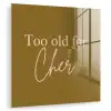 Groen - Too old for cher - Roze plexiglas 5mm klein -zzzproduct_nieuw
