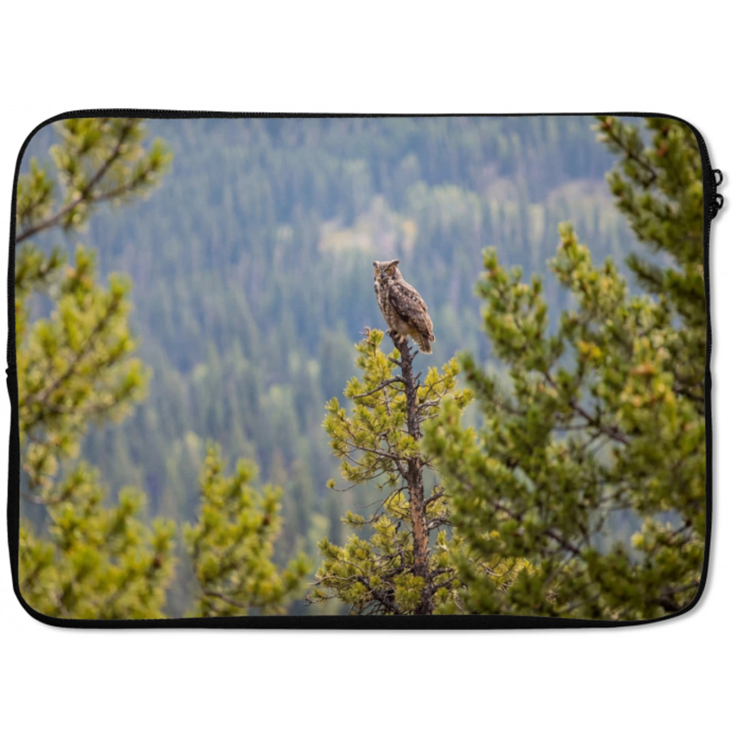 Uil - Oehoe - Bomen - Natuur laptophoes neopreen klein -zkaufland3dotto