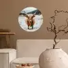 Schotse Hooglander - Sneeuw - Winter - Dieren Wandcirkel behangsticker klein -sfeer1